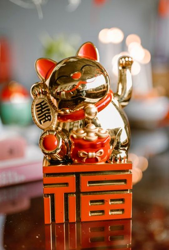 sâm lốc Nohu